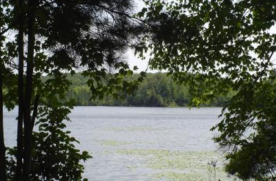 Otter Lake View from Campground