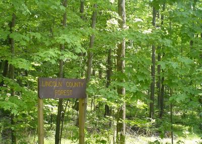 Lincoln County Forest Sign