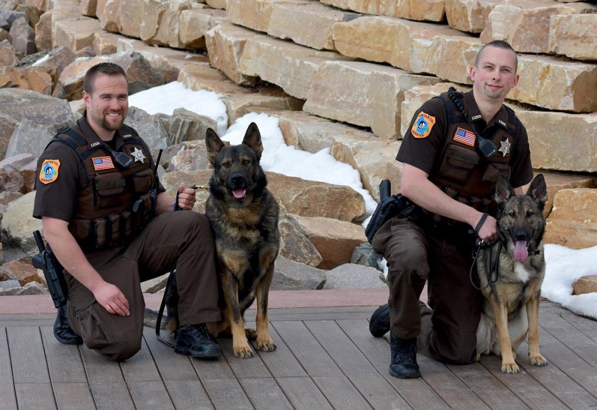 K9 Poncho / Deputy Prahl (left) & K9 Nina / Deputy Steckbauer (right)