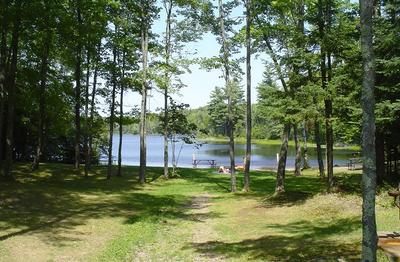 Otter Lake Beach