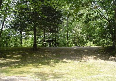 New Wood Campsite