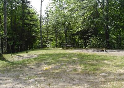 New Wood Campsite