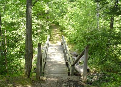New Wood Walking Bridge