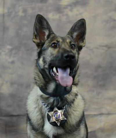 K9 Nina